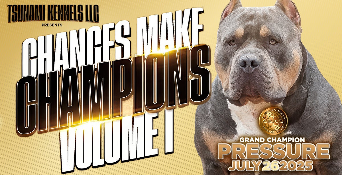 Tsunami Kennels / ABKC Chances Make Champions