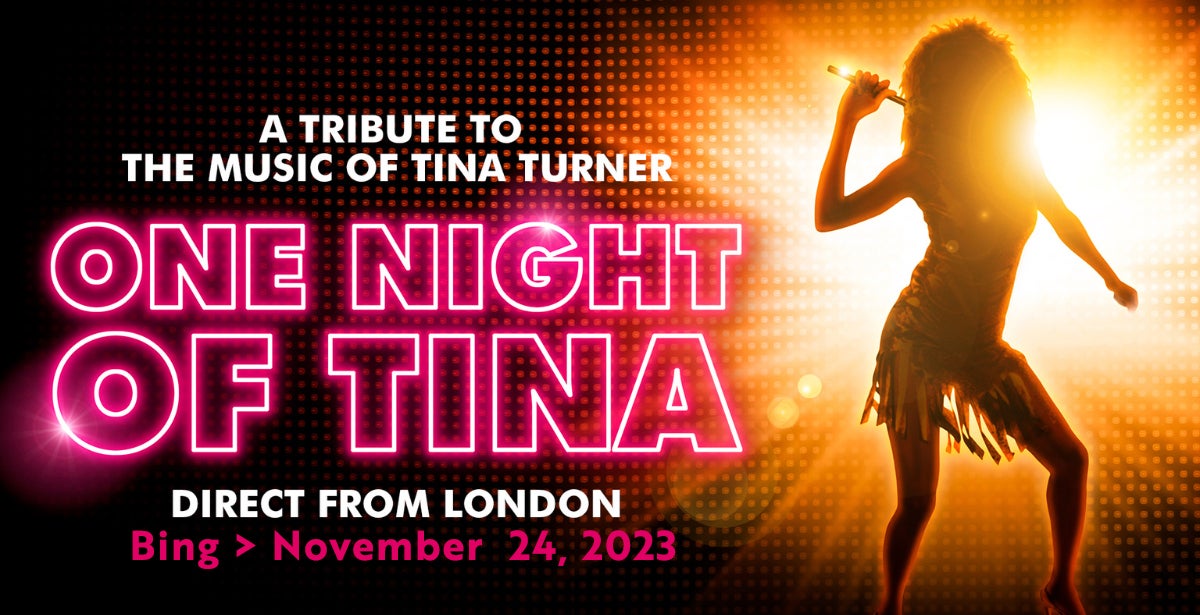 One Night With Tina - The Tina Turner Tribute