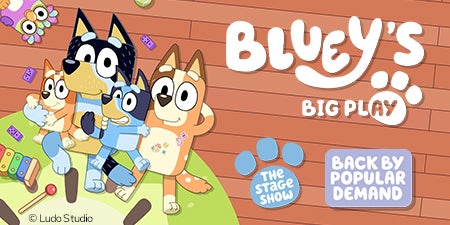 More Info for Bluey's Big Play