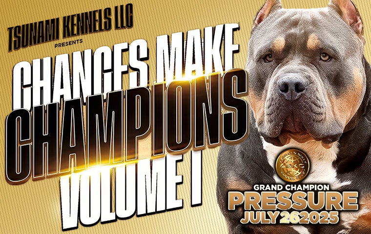 More Info for Tsunami Kennels / ABKC Chances Make Champions