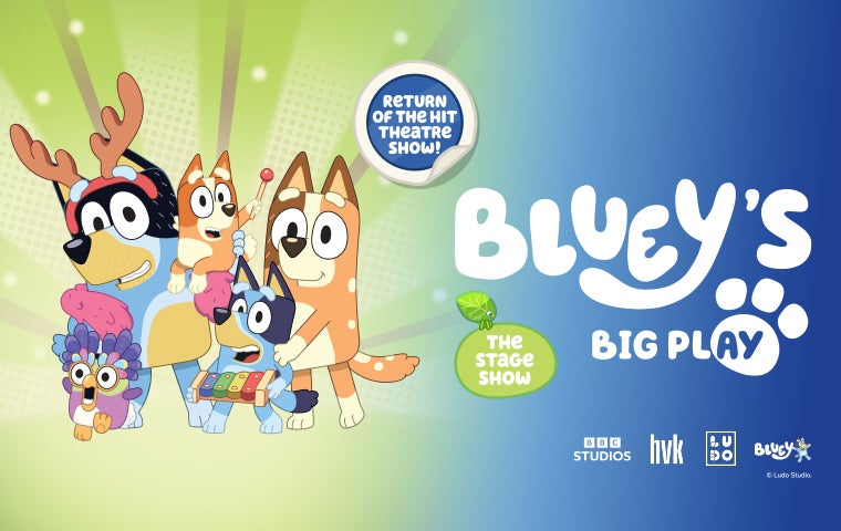 More Info for Bluey's Big Play
