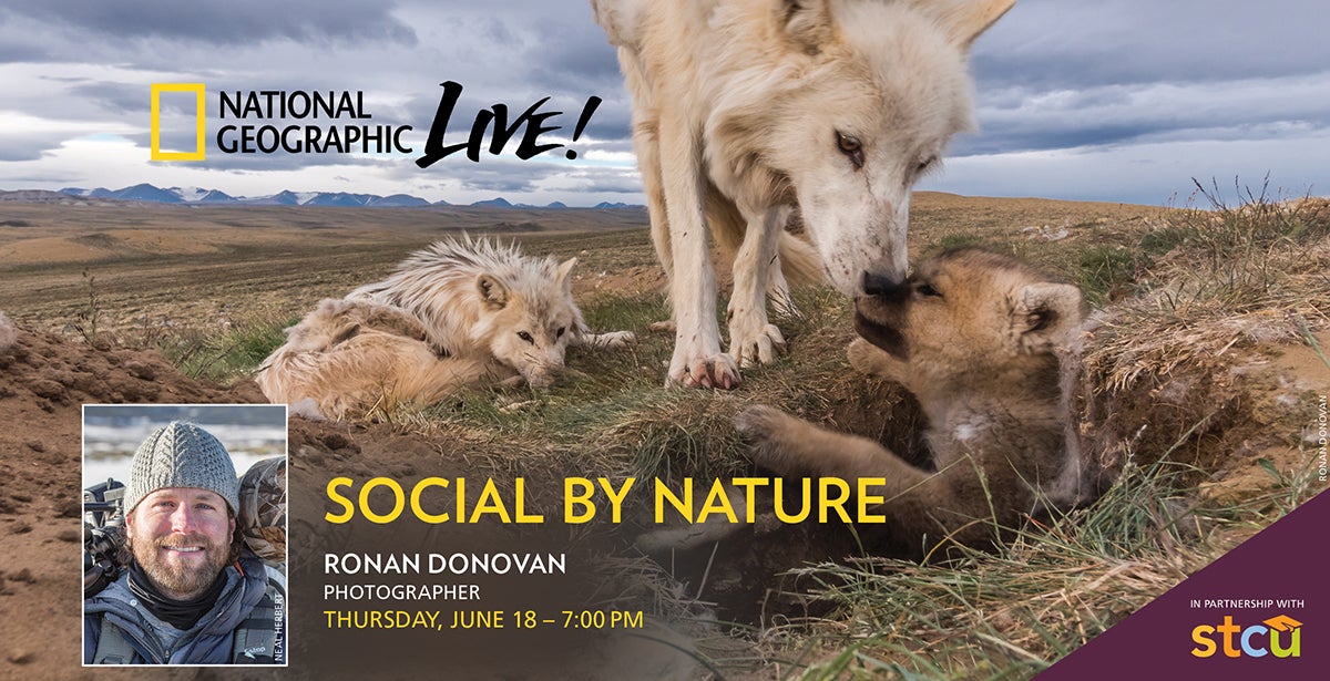 National Geographic Live: Social By Nature - Ronan Donovan