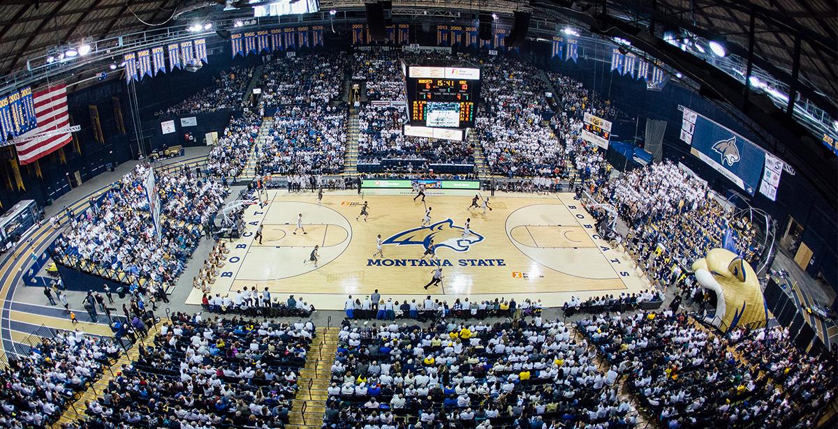 Montana State University Men's Basketball