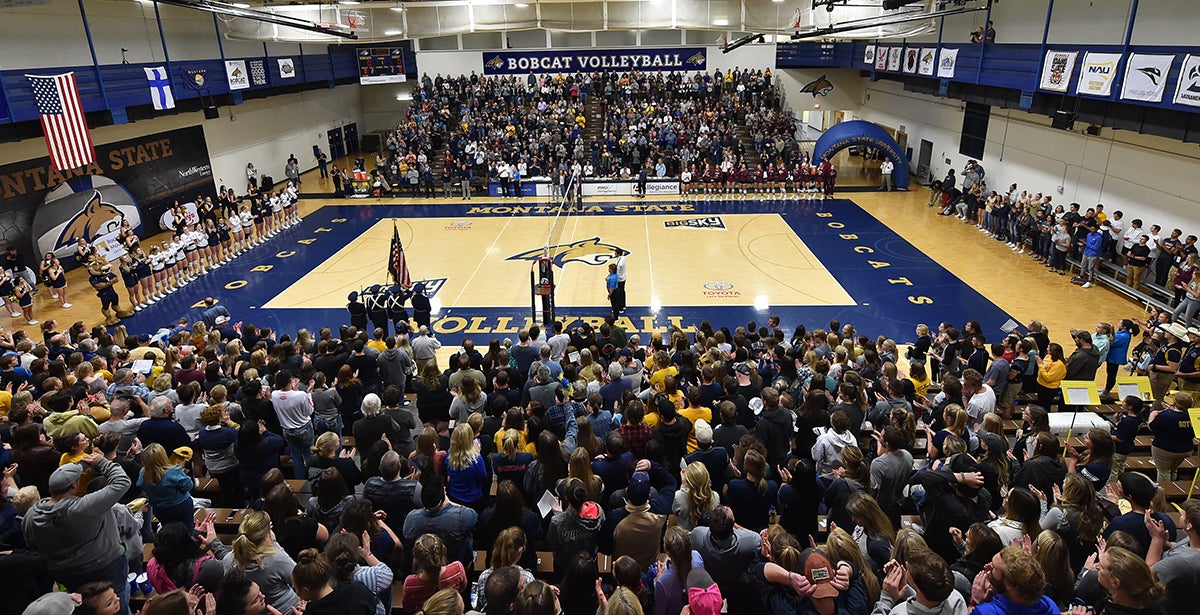 Montana State Bobcats Volleyball