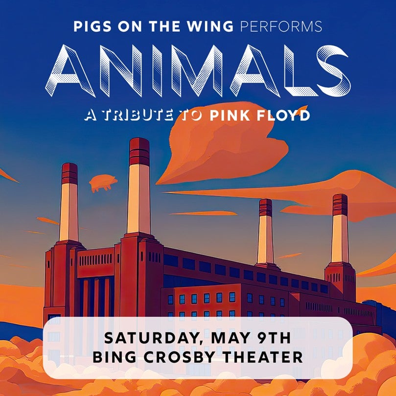 More Info for Pigs On The Wing