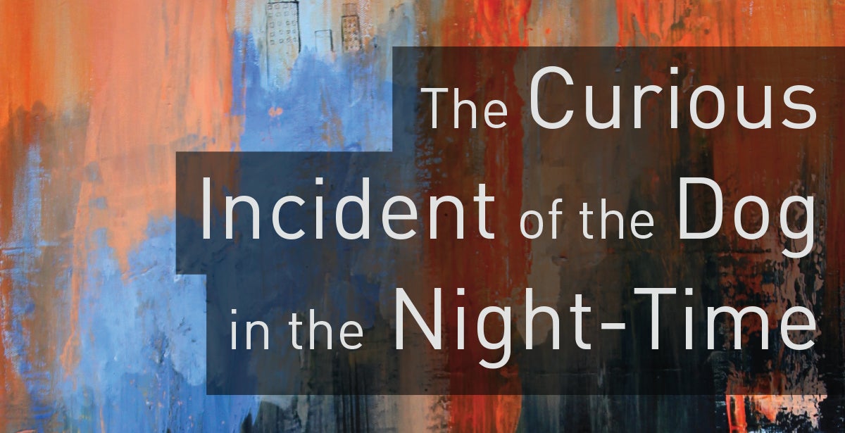 The Curious Incident of the Dog in the Night-Time