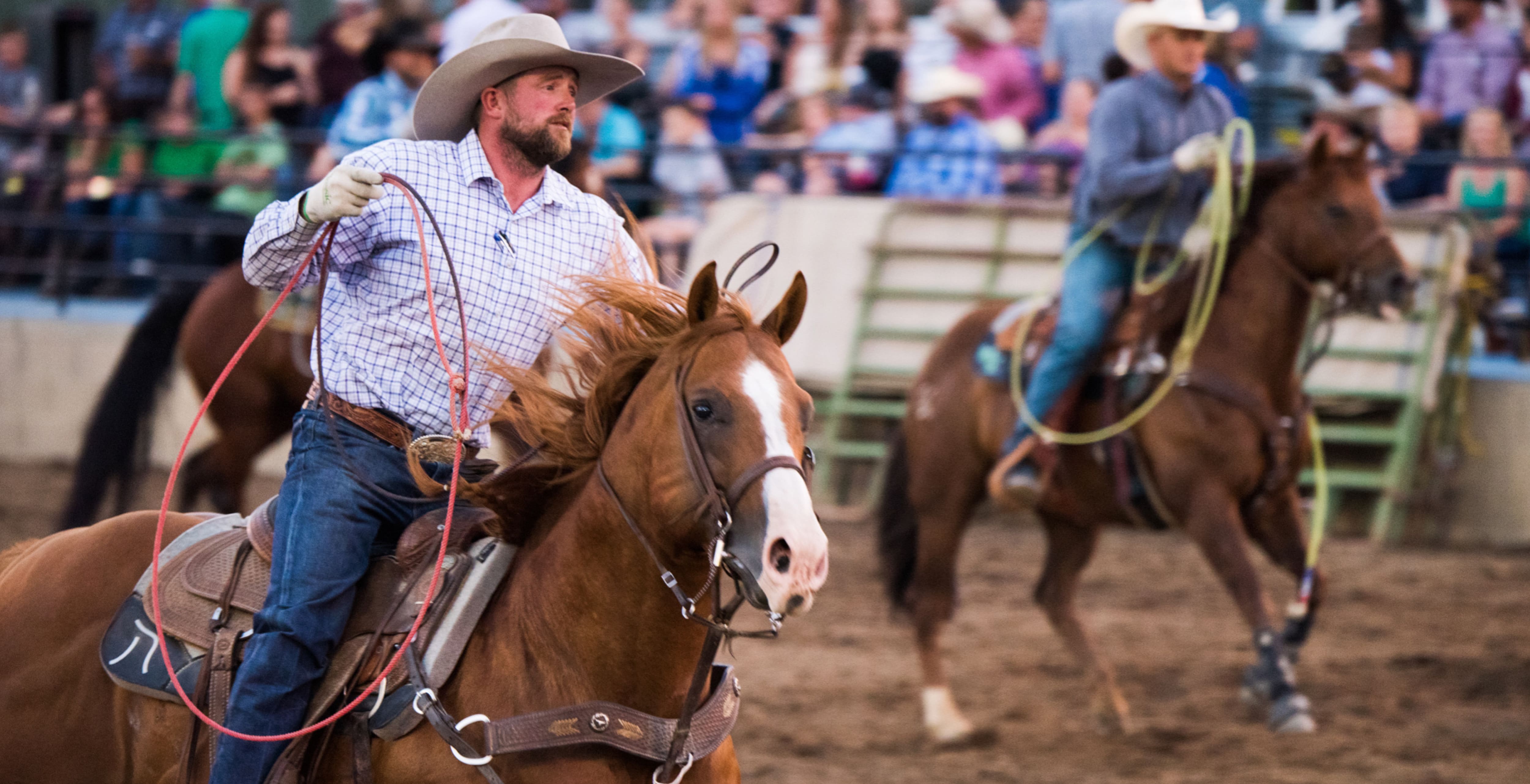 Country Rodeo Finals